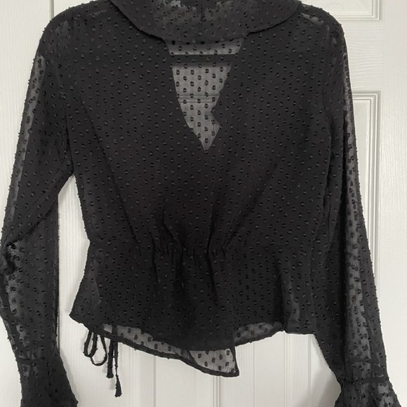 Sheer Blouse - Picture 2 of 2